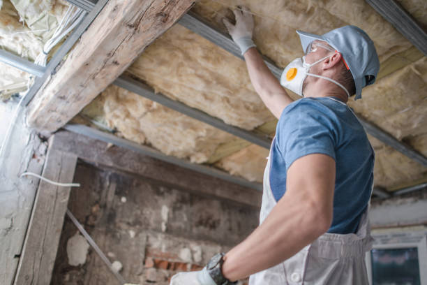 Types of Insulation We Offer in Anderson, SC