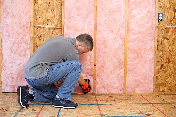Best Specialized Insulation Services in Anderson, SC